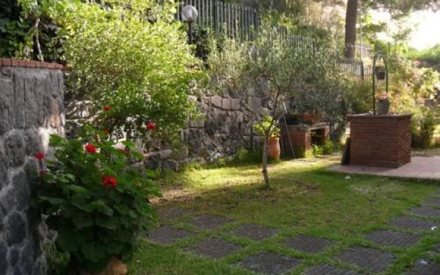 Il Mirtillo