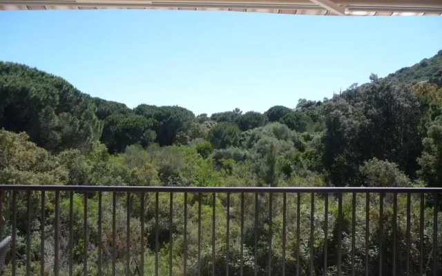 Luna verde