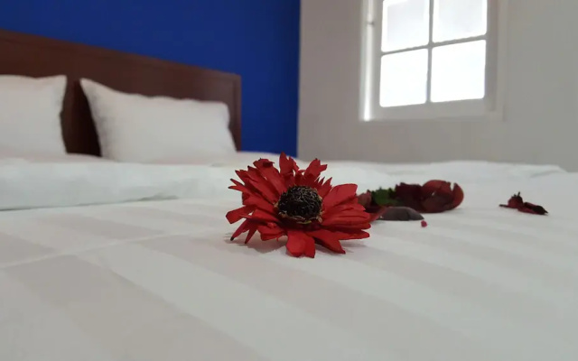 Royal Home Stay