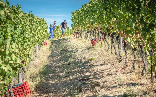 Agriturismo Rivetto