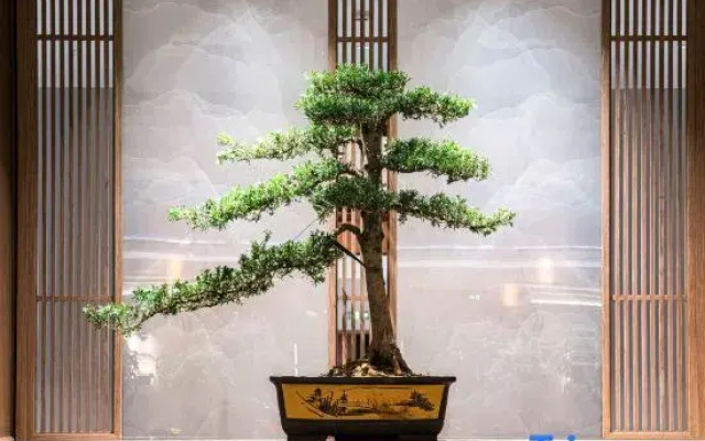Taixing Renjoy Hotel