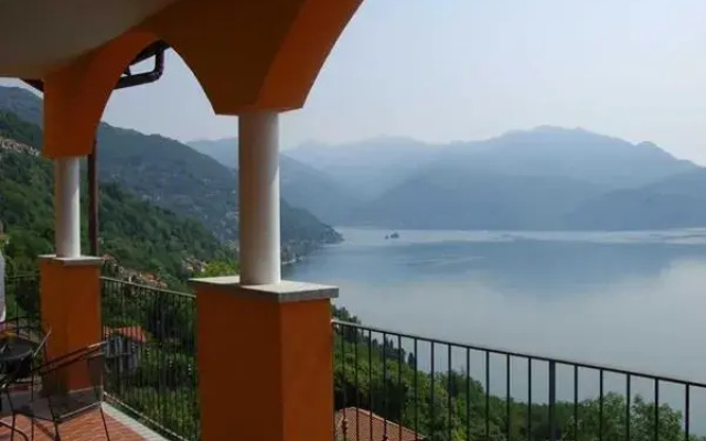 Il Vigneto
