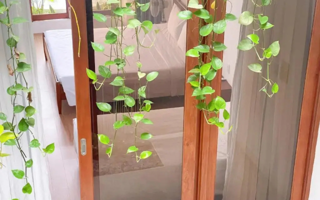 Holi Terrace House