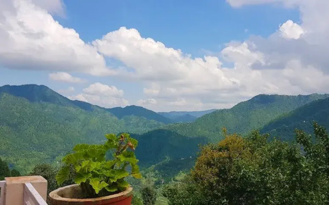 Seclude Arthouse - Uttarakhand