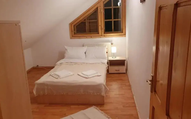 Vila Panselutelor 6