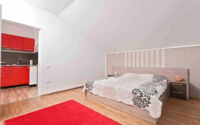Dana guest house