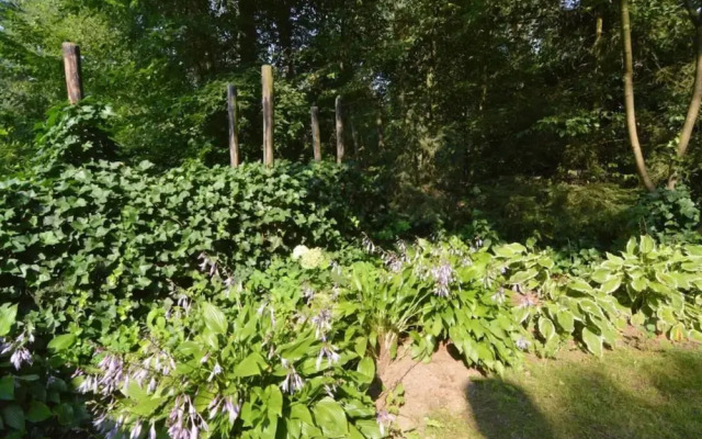 Apartment in Gelderland Near Nature Trails