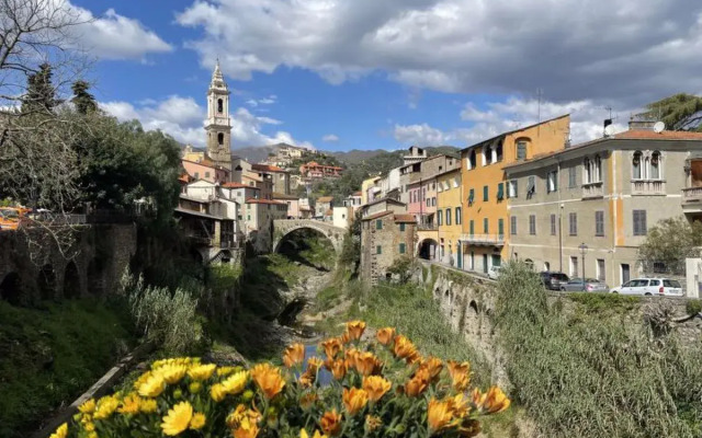 Limone (DOL123)