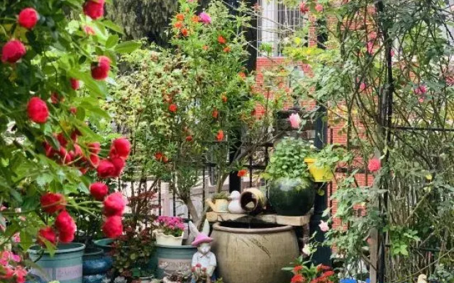 Yongding  Coffee Garden B&B