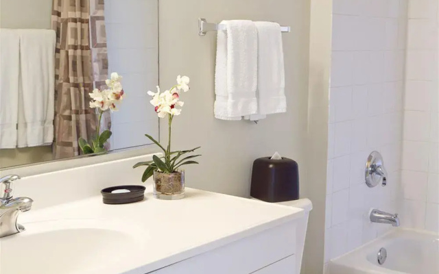 Premier Furnished Apartment at The Pier