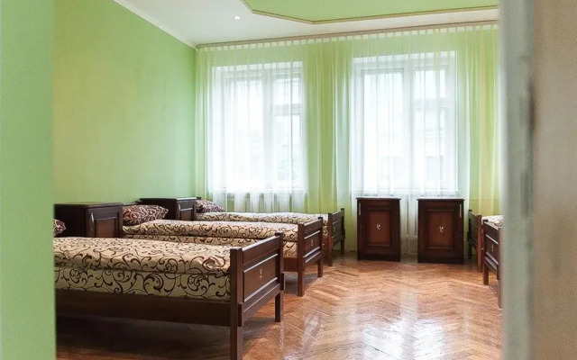 Hostel Druzi