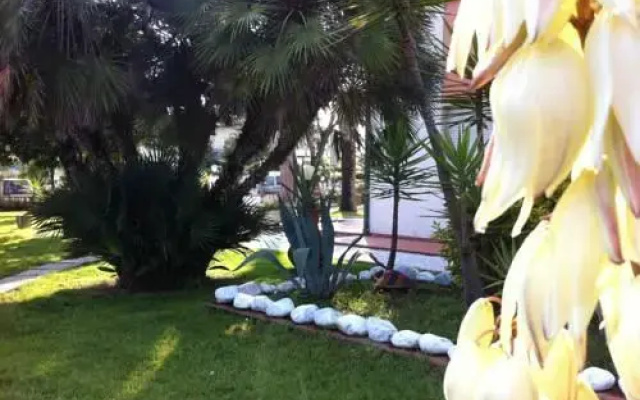 Hotel La Palma