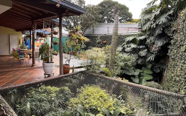 El Arupo Hostel