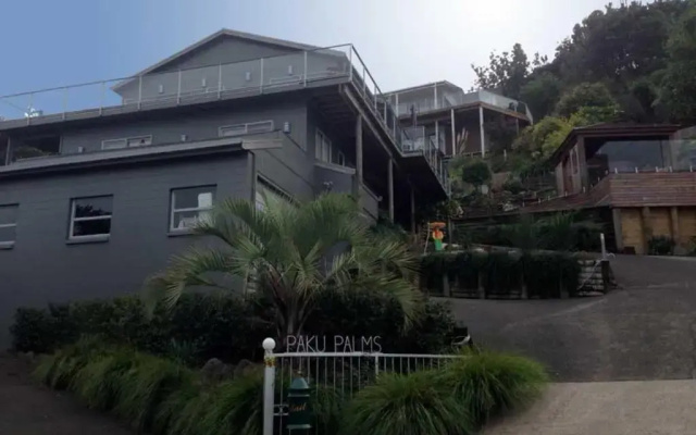 Paku Palms