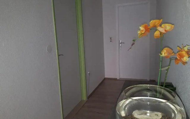 Apartment Ruzmarin