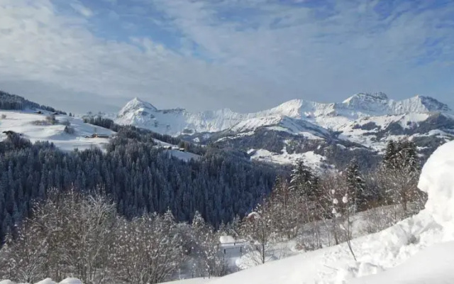 Appartement Le Mazot
