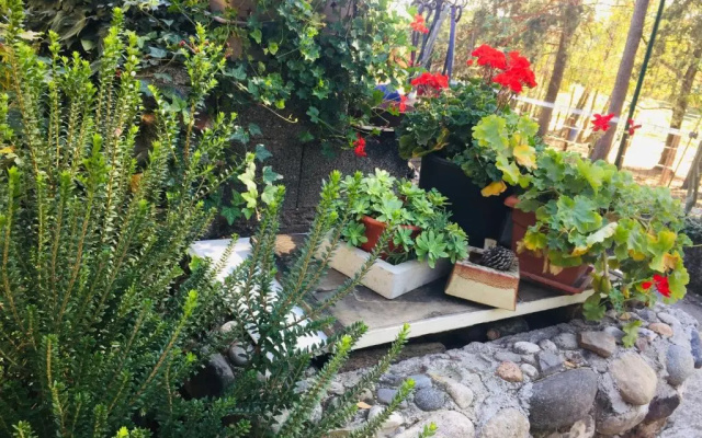 Tiny House - Lago Maggiore-Malpensa-Safari park