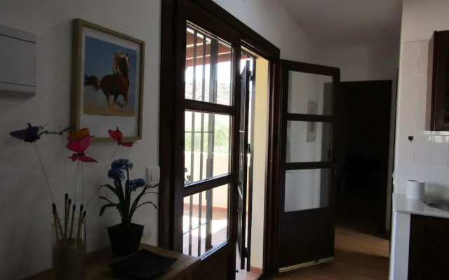 Caballo de Mar Frison
