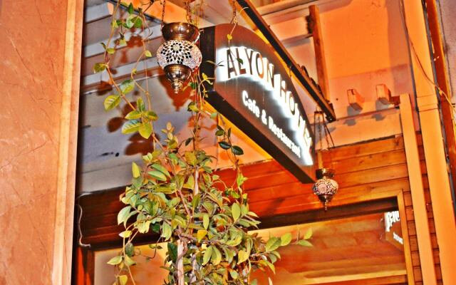 Alyon Hotel Taksim Турция, Стамбул - отзывы, цены и фото номеров - забронировать отель Alyon Hotel Taksim онлайн вид на фасад