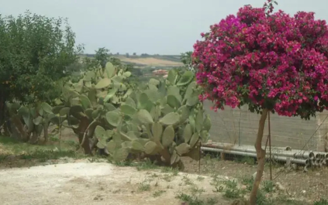B&B Rosa dei Venti