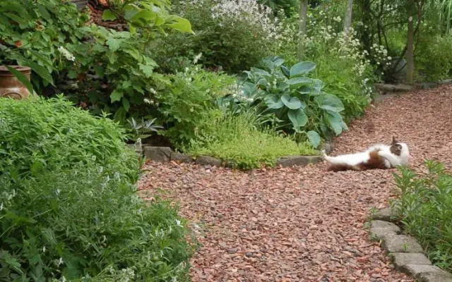 B&B De Zeeuwse Tuinkamers
