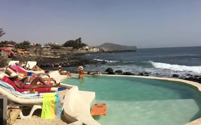 Surfeur Paradise