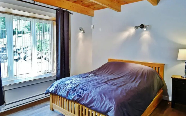 Chalets Alpins - 11 Chemin des Skieurs