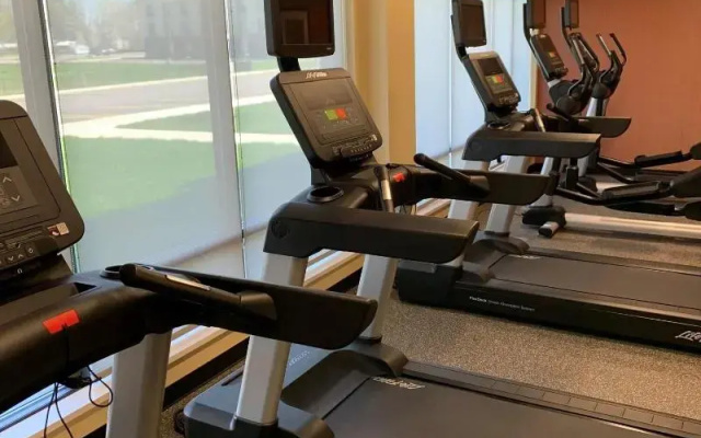 TownePlace Suites by Marriott Detroit Belleville