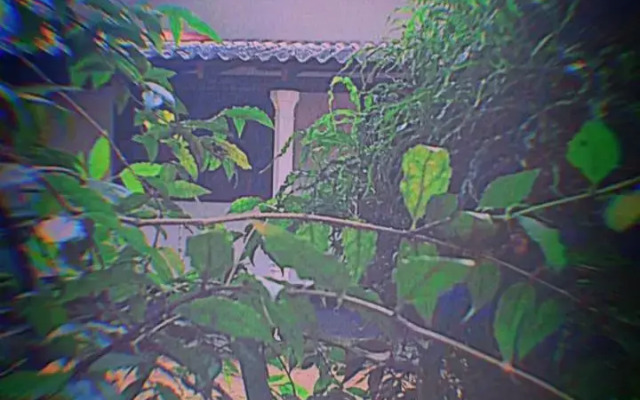 Sinharaja Green Villa