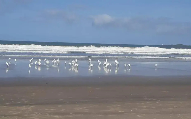 Casa de Praia Ilheus