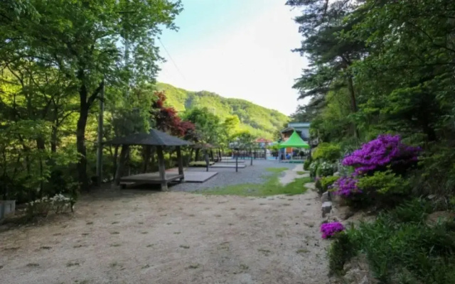 Yangpyeong Adeulbawi Pension(양평 아들바위펜션)