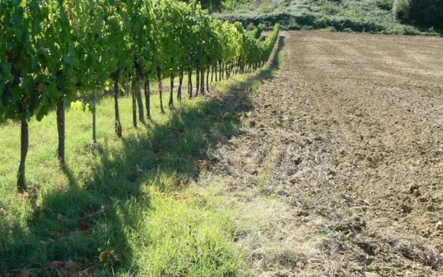 Appartamento vicino a Siena