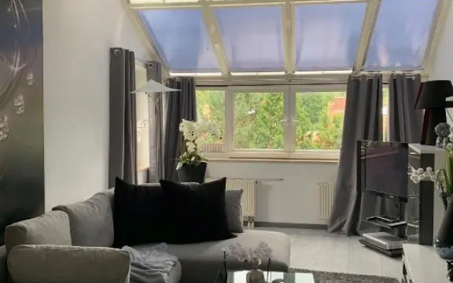 Luxus Appartement Brühlervorstadt Erfurt