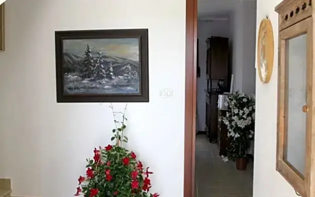 Palmas Dorada