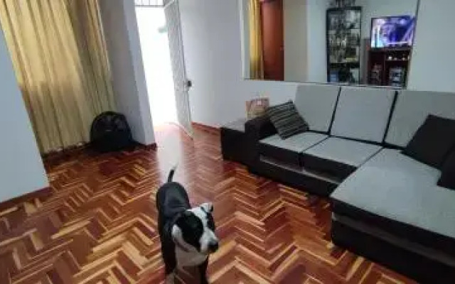 Apartamento Marco Airport