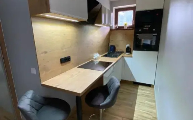 Apartament Artemida Kletno