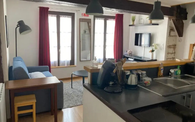 T3 duplex hyper centre ville historique troyes