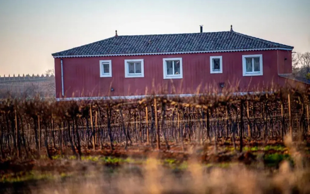 Villa Piscine au cœur des vignes