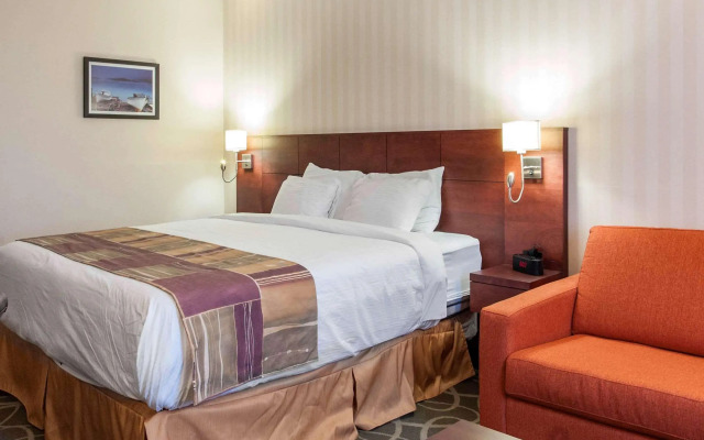 Quality Hotel & Suites