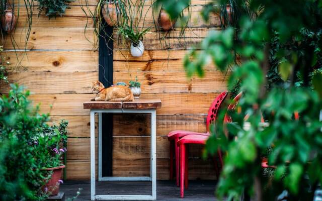Chengdu Flipflop Hostel вид на фасад