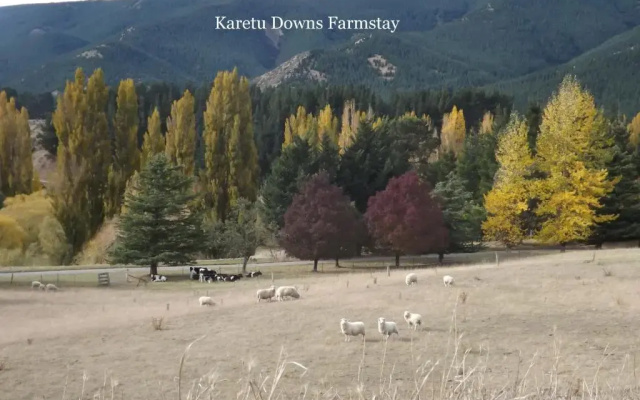 Karetu Downs Farm Stay