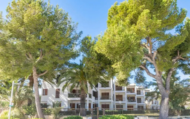 Andreu Playasol in Port d Alcudia