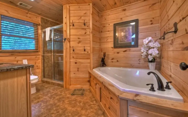 The Lone Star Cabin