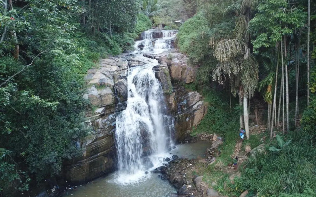 River Splendour Home Stay