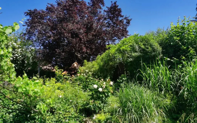 Nähe Spieleland