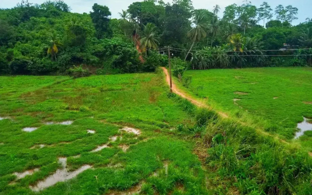 Green View Guest