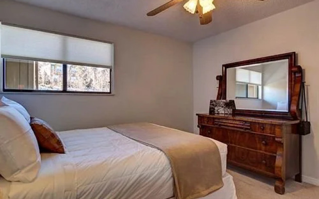 Five Star Properties Silverthorne
