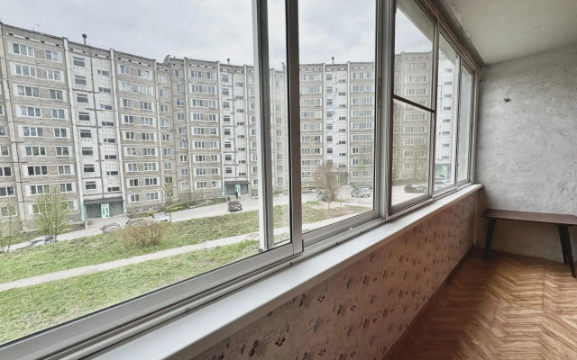 Барбарис на улице Мира 56