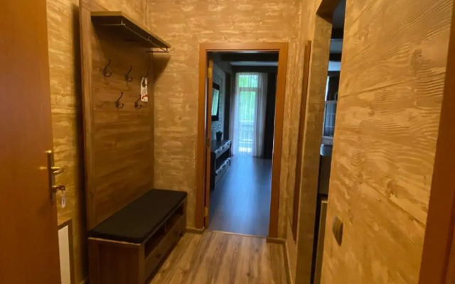 Deluxe 206