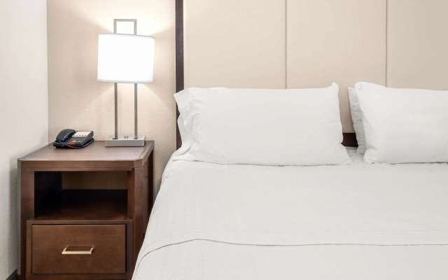 Homewood Suites by Hilton San Marcos
